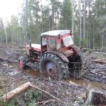 В Осташкове задержали "черных лесорубов", спиливших лес почти на миллион